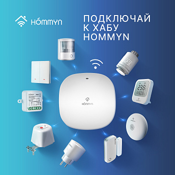 Блок управления (шлюз) Hommyn Hub HH-01