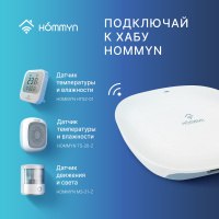 Блок управления (шлюз) Hommyn Hub HH-01